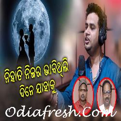 Nihati Nijara Bhabithili Dine Jahaku Thare